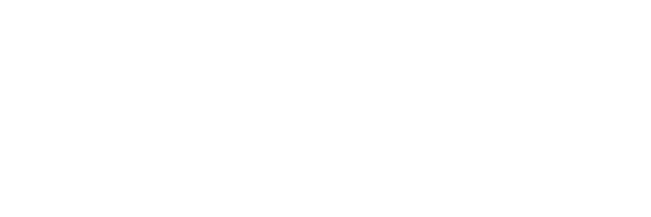 SpinOro
