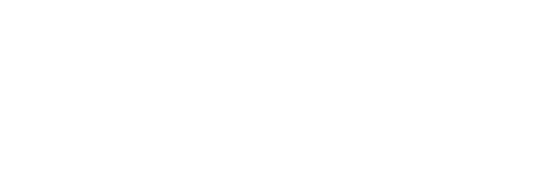 Vivo Gaming