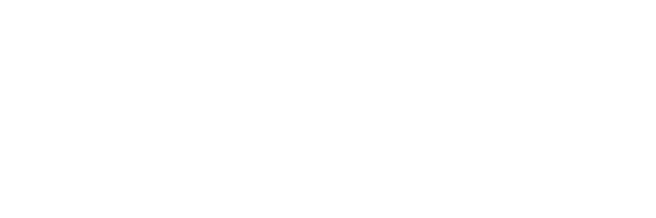 Swintt Premium